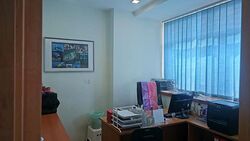 Vertex (D14), Factory #499087471